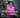 Age is Just a Number: How Sonya Redefined Strength at 65 with Speediance