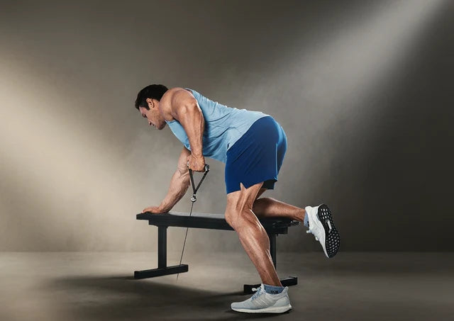 Cardio & Fat Burn